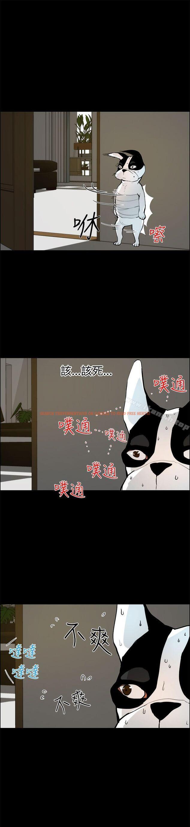 查看漫画變成狗的男人 - 第19話 - www.tymanga.com中的121400图片