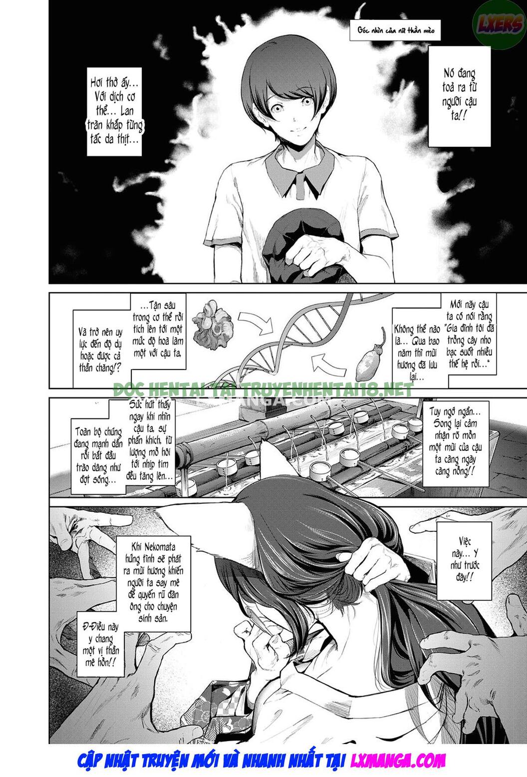 Hình ảnh 10 trong Boy Meets Cat Goddess - Chapter 1 - Hentaimanhwa.net