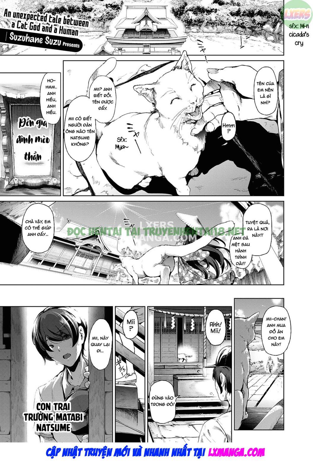 Xem ảnh 3 trong truyện hentai Boy Meets Cat Goddess - Chapter 1 - truyenhentai18.pro