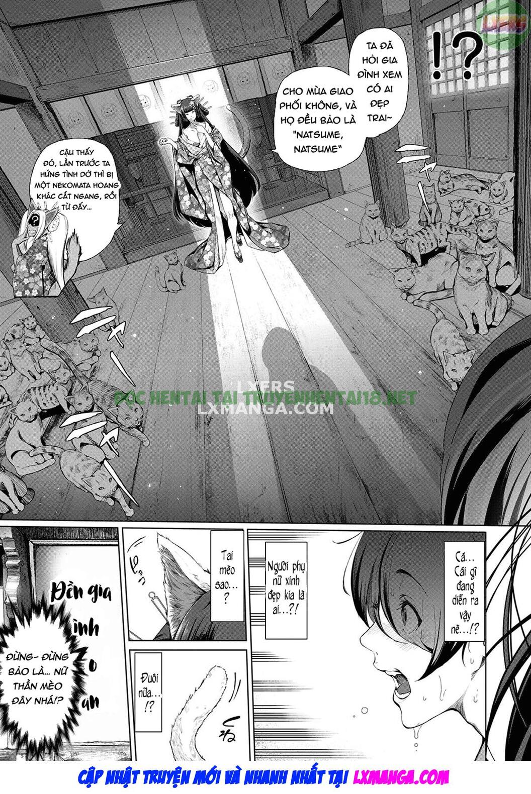 Xem ảnh 5 trong truyện hentai Boy Meets Cat Goddess - Chapter 1 - truyenhentai18.pro