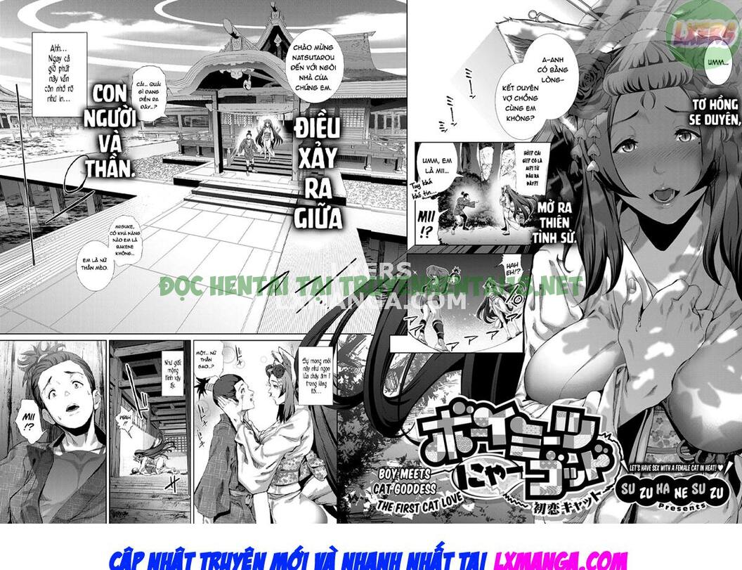 Xem ảnh 8 trong truyện hentai Boy Meets Cat Goddess - Chapter 3 - truyenhentai18.pro