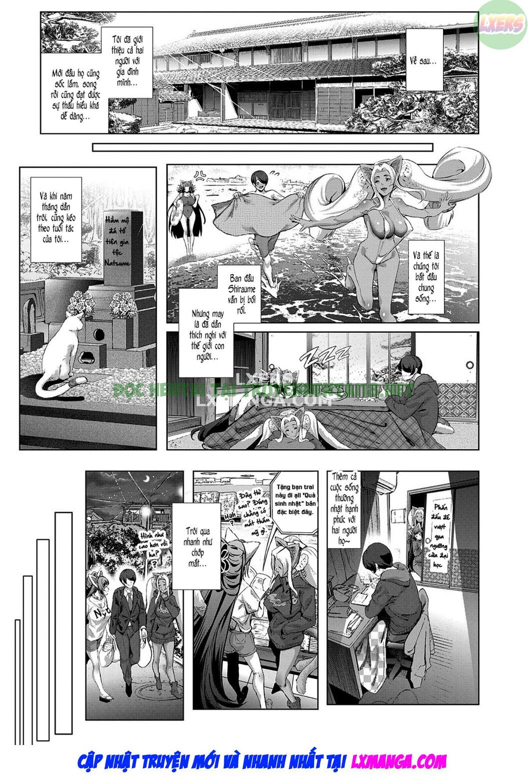 Xem ảnh 23 trong truyện hentai Boy Meets Cat Goddess - Chapter 4 END - truyenhentai18.pro