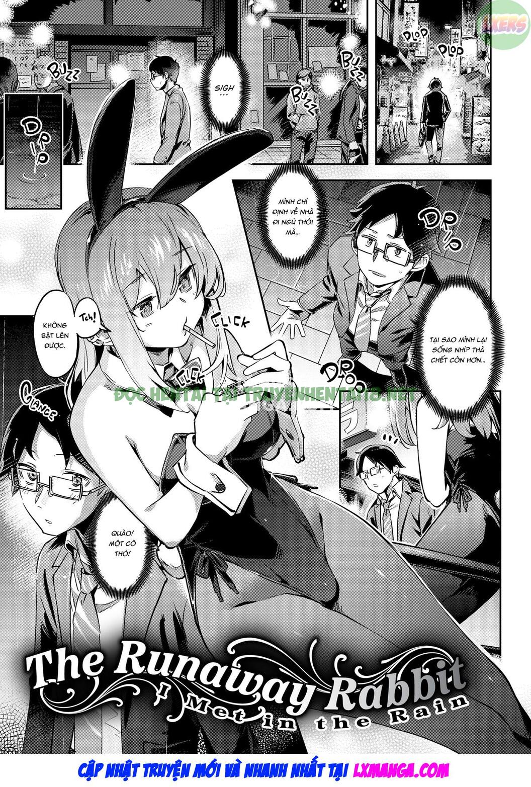 Xem ảnh 8 trong truyện hentai Bunny Mating Season - Chapter 1 - truyenhentai18.pro