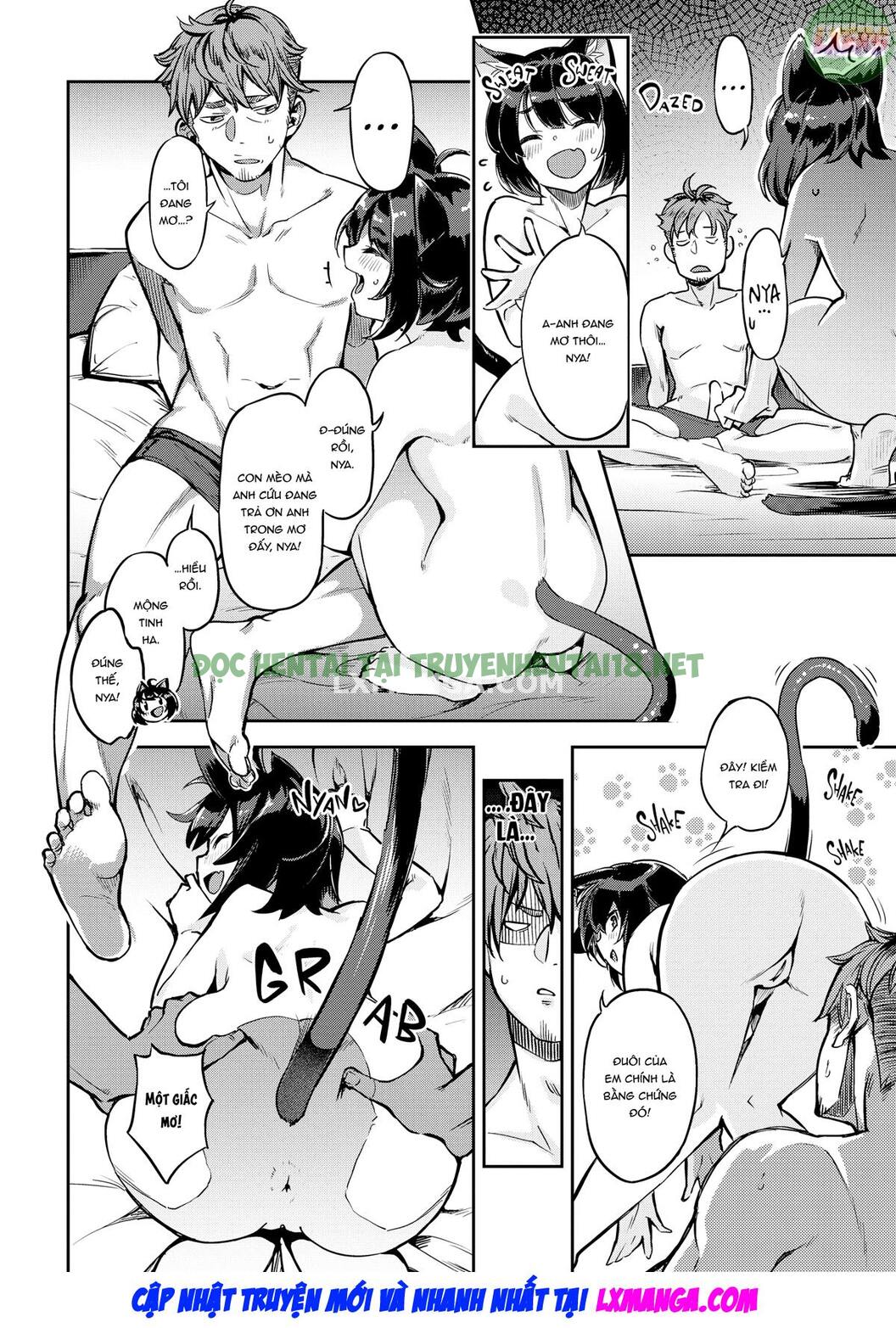 Xem ảnh 10 trong truyện hentai Bunny Mating Season - Chapter 6 - truyenhentai18.pro
