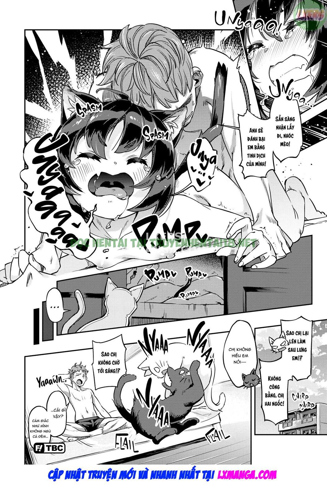 Xem ảnh 18 trong truyện hentai Bunny Mating Season - Chapter 6 - truyenhentai18.pro
