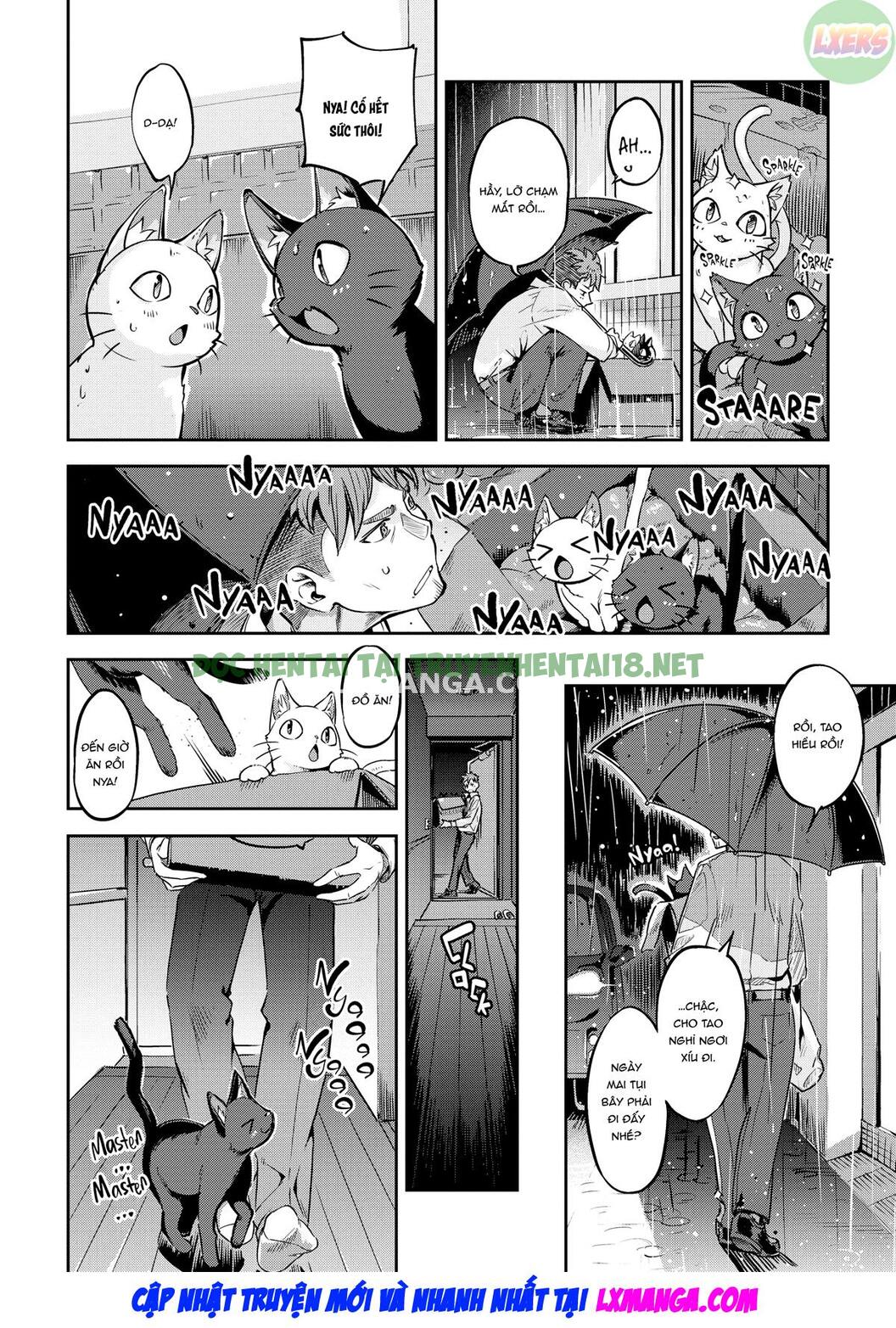 Xem ảnh Bunny Mating Season - Chapter 6 - 6 - Hentai24h.Tv