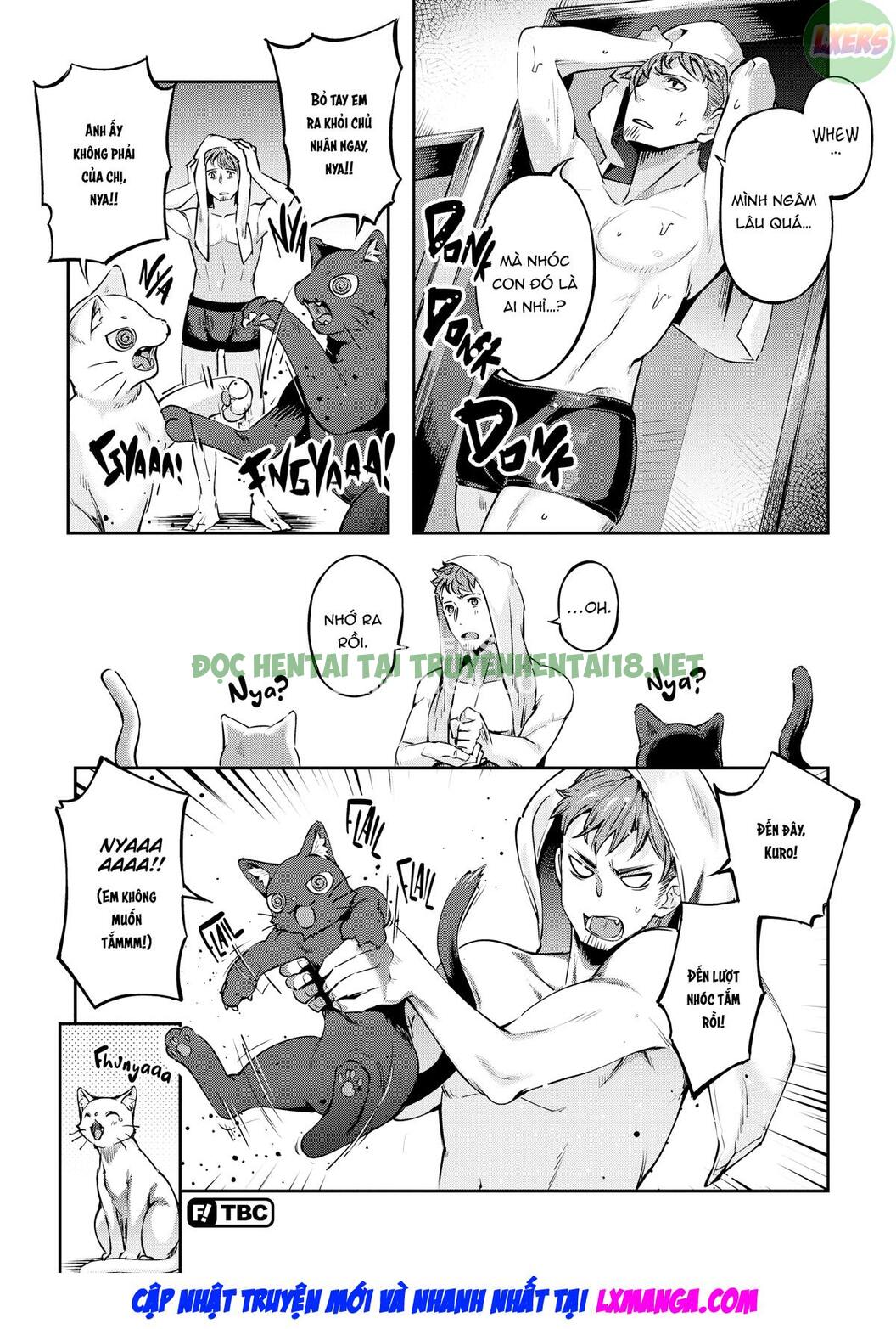 Xem ảnh 18 trong truyện hentai Bunny Mating Season - Chapter 7 - truyenhentai18.pro