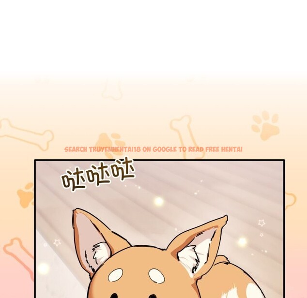 查看漫画當狗不丟人 - 第24話 - www.tymanga.com中的3783595图片 查看漫画當狗不丟人 - 第24話 - www.tymanga.com中的3783595图片