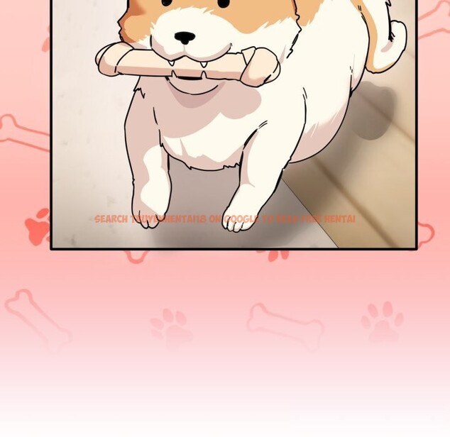 查看漫画當狗不丟人 - 第24話 - www.tymanga.com中的3783596图片 查看漫画當狗不丟人 - 第24話 - www.tymanga.com中的3783596图片