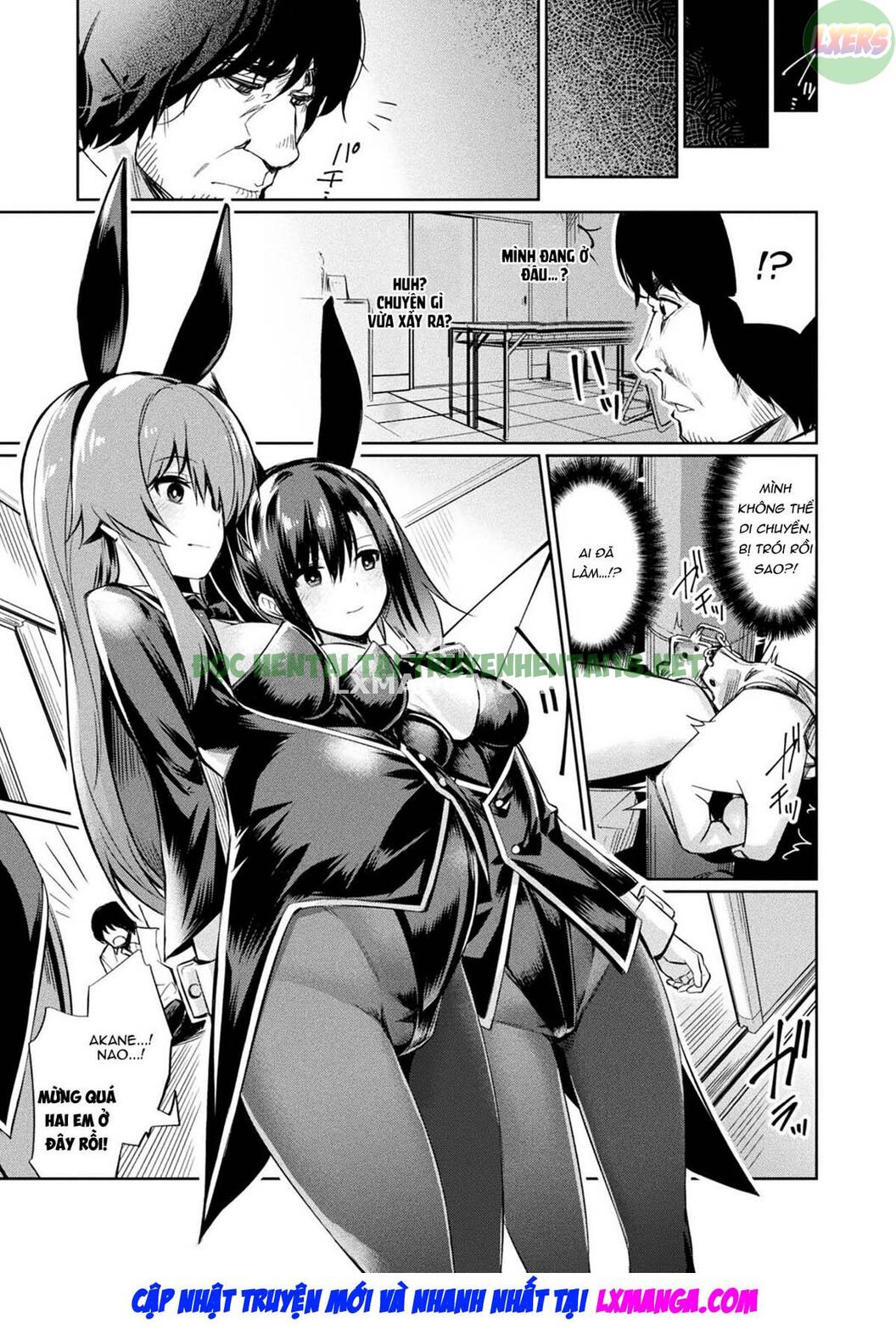 Xem ảnh 5 trong truyện hentai Hướng Dẫn Sinh Viên Thôi Miên - Chapter 6 - truyenhentai18.pro