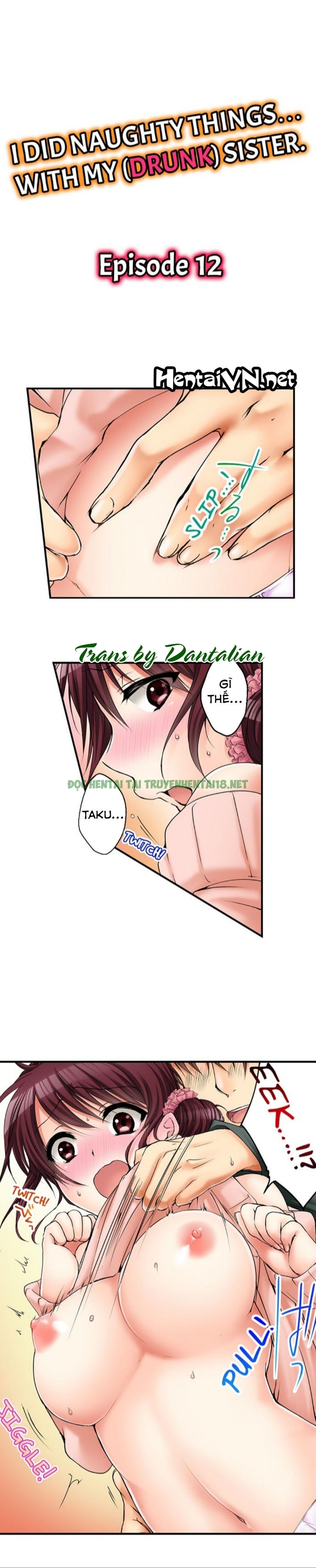 Hình ảnh 2 trong I Did Naughty Things With My (Drunk) Sister - Chapter 12 - Hentaimanhwa.net