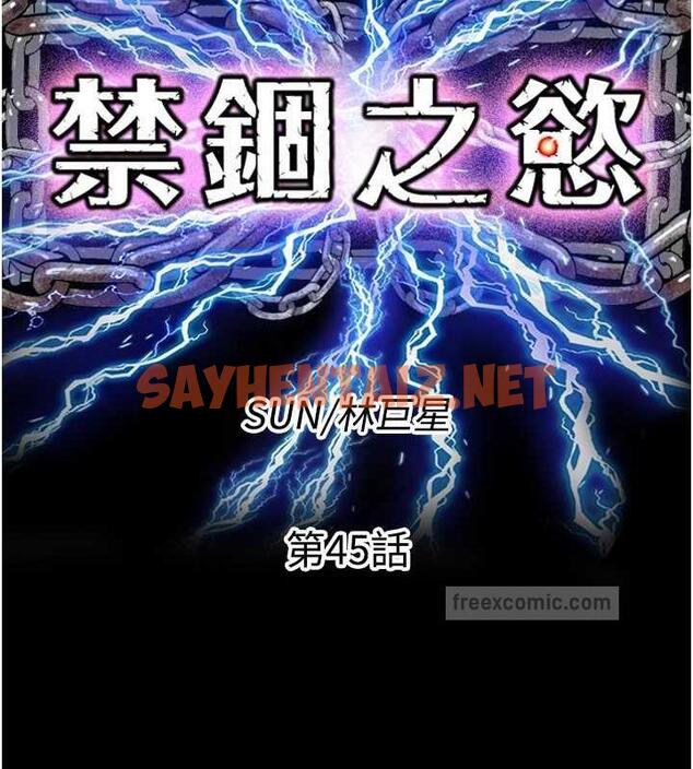 查看漫画禁錮之慾 - 第45話-臉上都是主人的精液 - tymanga.com中的1894976图片