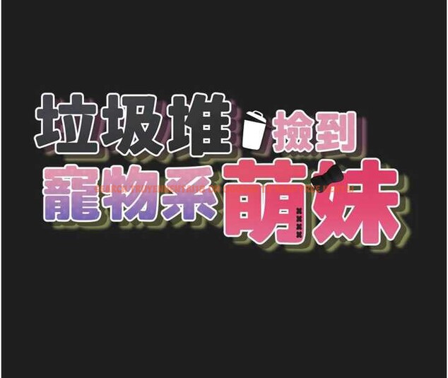 查看漫画垃圾堆撿到寵物系萌妹 - 第23話-哪裡才是棲身之地? - tymanga.com中的3968532图片
