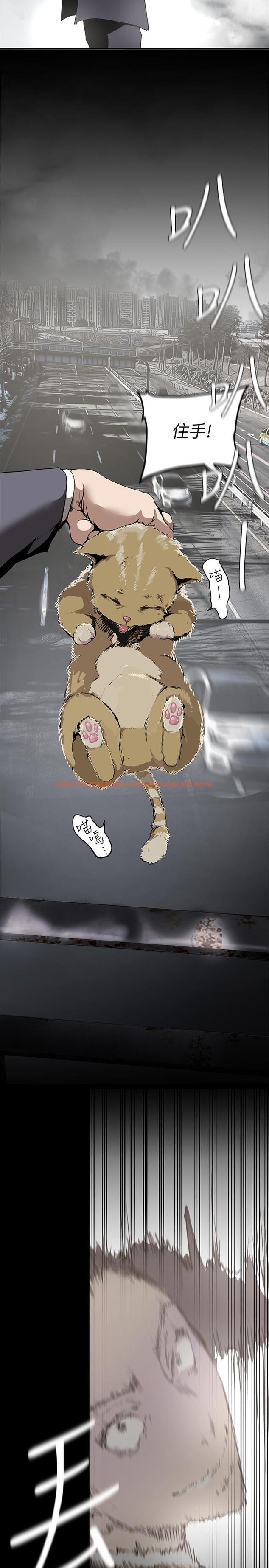 查看漫画美麗新世界 - 第170話-要不要來我家看貓? - tymanga.com中的963891图片 查看漫画美麗新世界 - 第170話-要不要來我家看貓? - tymanga.com中的963891图片