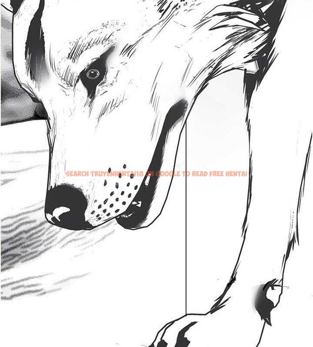 查看漫画美麗新世界 - 第248話-需要取暖的豪承 - www.tymanga.com中的1912529图片