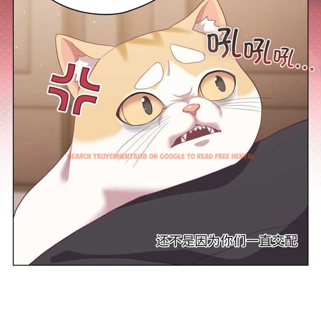 查看漫画喵來的戀愛 - 第38話 - sayhentaiz.net中的3847366图片