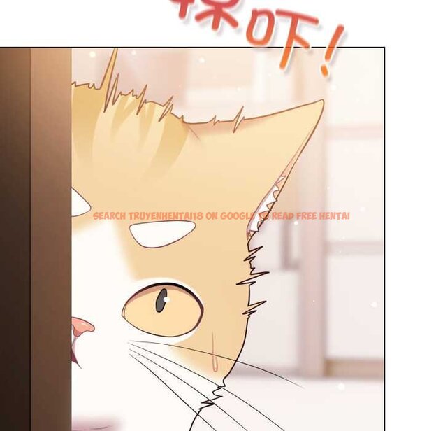 查看漫画喵來的戀愛 - 第47話 - tymanga.com中的4064811图片