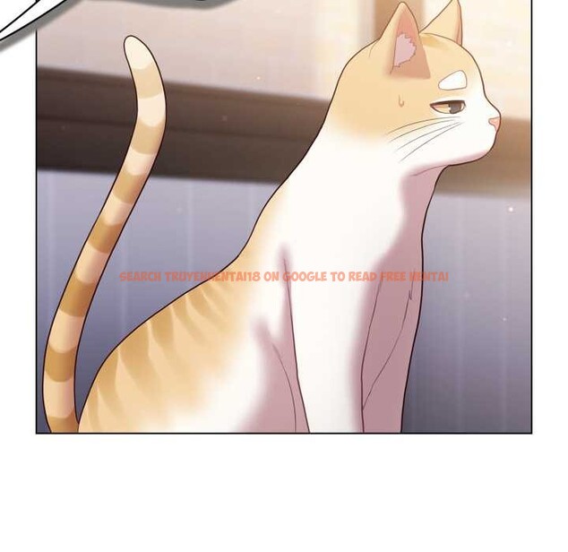 查看漫画喵來的戀愛 - 第49話 - tymanga.com中的4112266图片