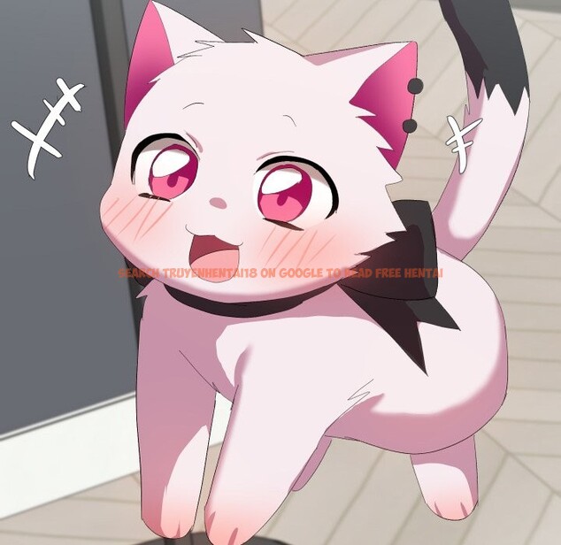 查看漫画魔法少女退役後 - 第3話 - sayhentaiz.net中的4268068图片