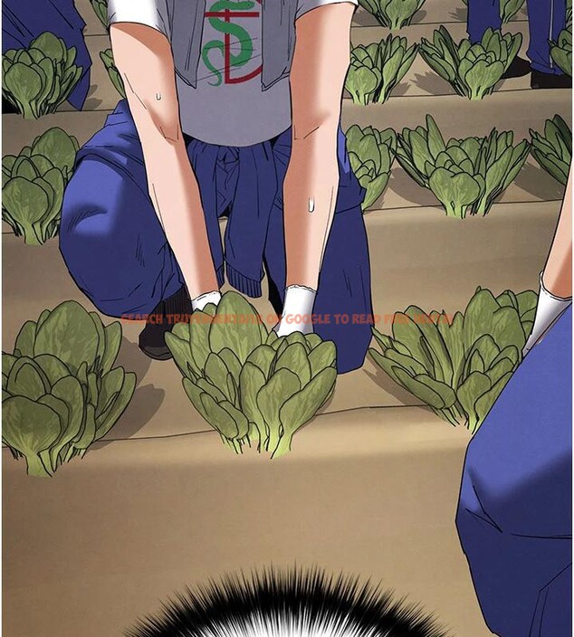 查看漫画末日鵰堡 - 第50話-人間樂園 - tymanga.com中的3893834图片