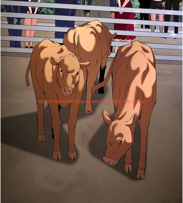 查看漫画末日鵰堡 - 第50話-人間樂園 - tymanga.com中的3893880图片