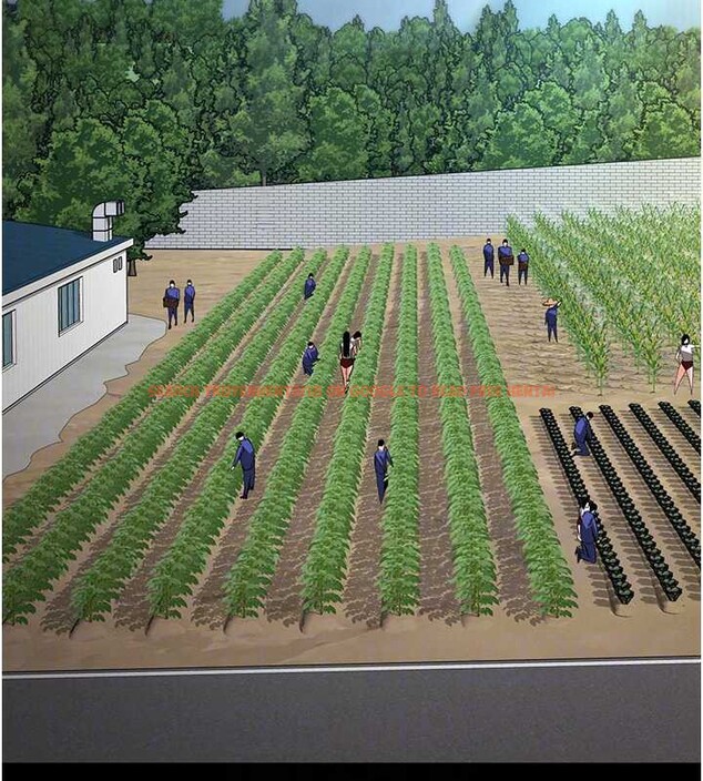 查看漫画末日鵰堡 - 第54話-用龜頭刮除那混蛋的精液 - tymanga.com中的3988809图片