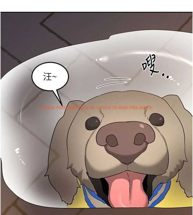 查看漫画熟女交換計畫 - 第27話-汪汪!愛液自動吸收器 - sayhentaiz.net中的3520339图片