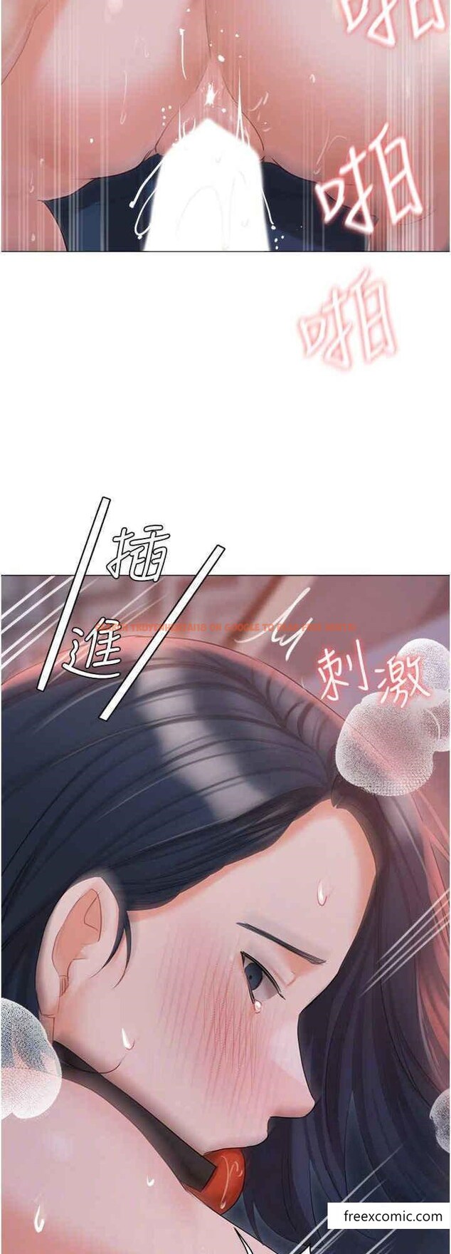 查看漫画私宅女主人 - 外傳 第2話-給主人幹就對了 - tymanga.com中的1373052图片