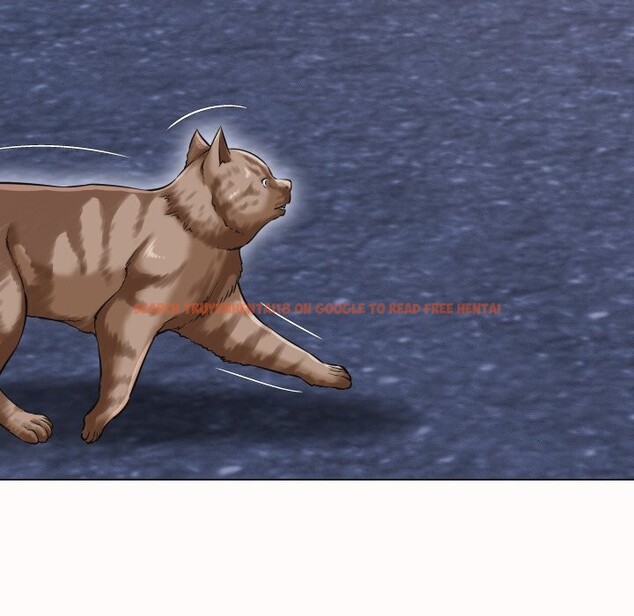 查看漫画她們的夜晚屬於我/與人妻有個祕密 - 第25話 - sayhentaiz.net中的4249229图片