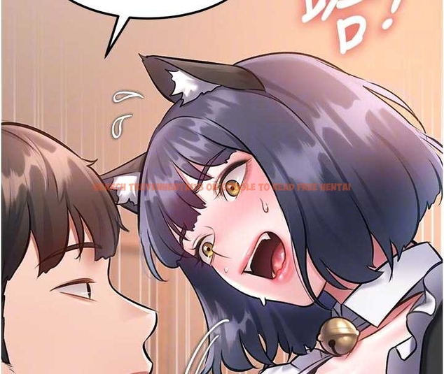 查看漫画特色新視界 - 第17話-馴服野貓守則 - www.tymanga.com中的4048164图片