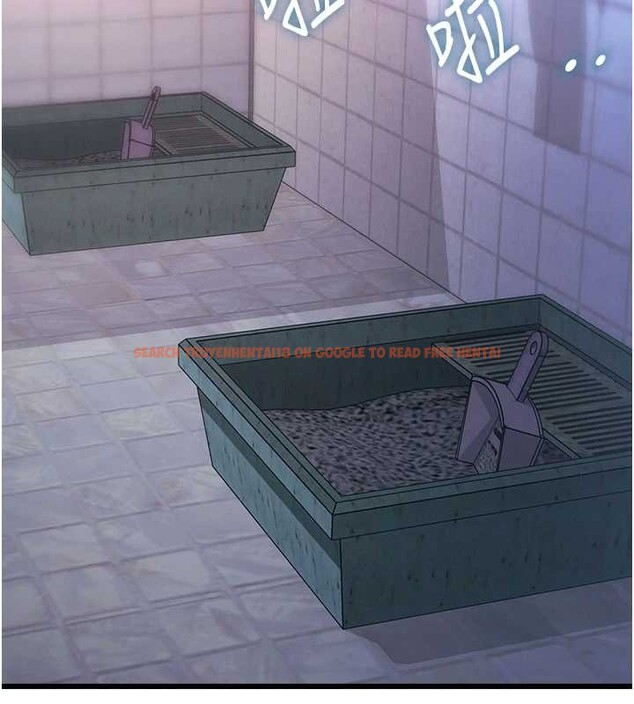 查看漫画特色新視界 - 第20話-母狗們如廁中 - www.tymanga.com中的4120242图片