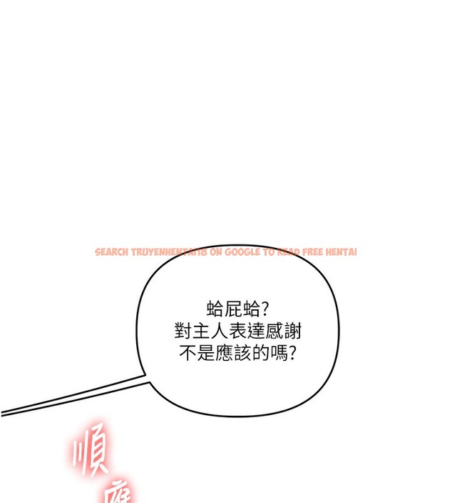 查看漫画玩轉學姊 - 第51話-鵰王高超吐真騎技 - sayhentaiz.net中的3030931图片