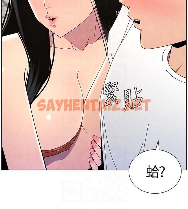 查看漫画兄妹的秘密授課 - 第35話-偶遇屌迷波霸妹♥ - tymanga.com中的2754341图片