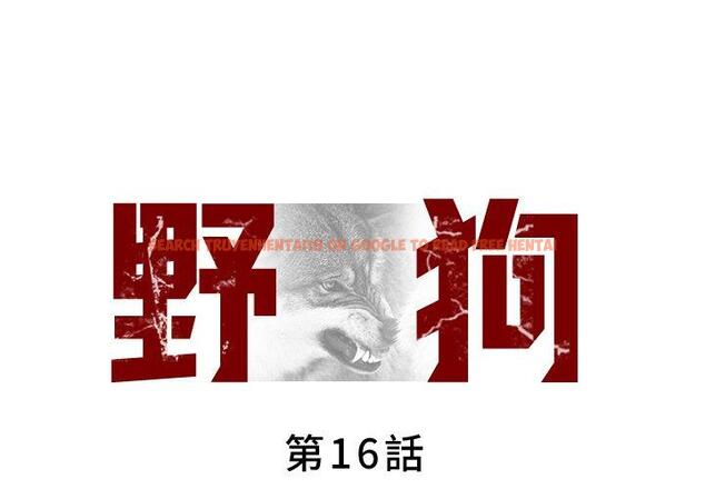 查看漫画野狗 - 第16話 - tymanga.com中的1264114图片