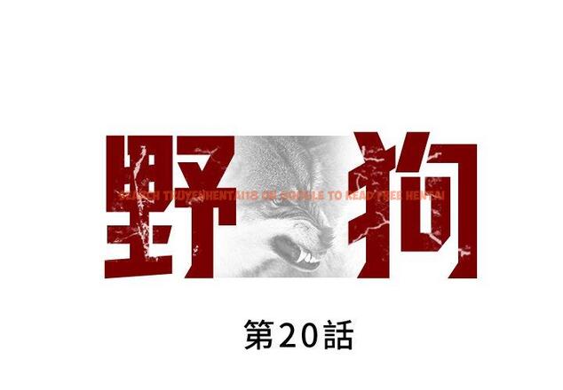 查看漫画野狗 - 第20話 - tymanga.com中的1294733图片