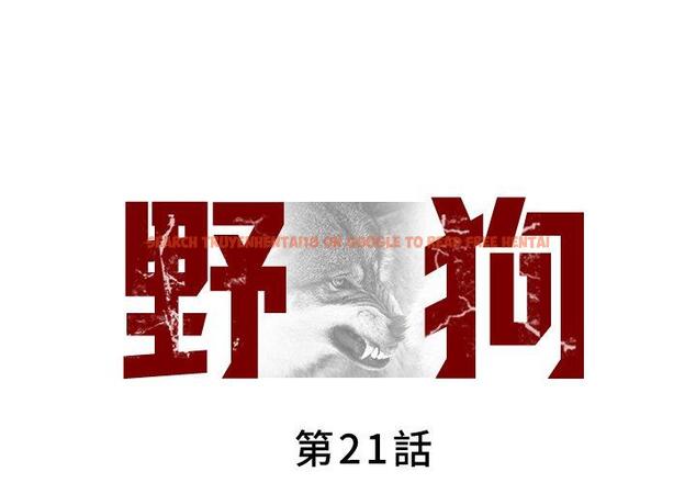 查看漫画野狗 - 第21話 - tymanga.com中的1307663图片