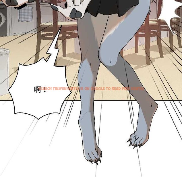 查看漫画野獸的王國/野獸的樂章 - 第1話 - tymanga.com中的4092380图片