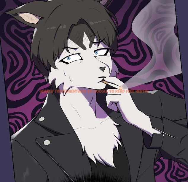 查看漫画野獸的王國/野獸的樂章 - 第1話 - tymanga.com中的4092475图片