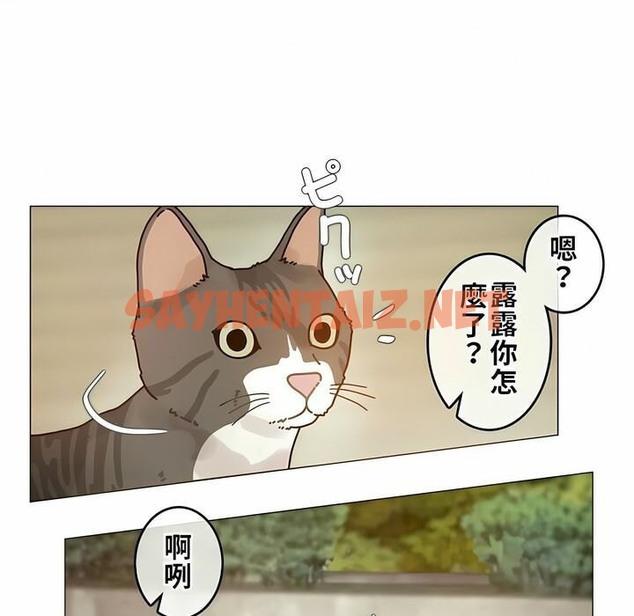 查看漫画一個變態的日常生活/A Pervert’s Daily Life / 闖進她的生活 - 第72話 - www.tymanga.com中的2325509图片