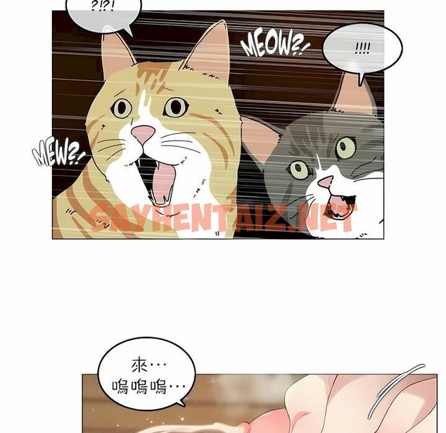 查看漫画一個變態的日常生活/A Pervert’s Daily Life / 闖進她的生活 - 第88話 - www.tymanga.com中的2326942图片
