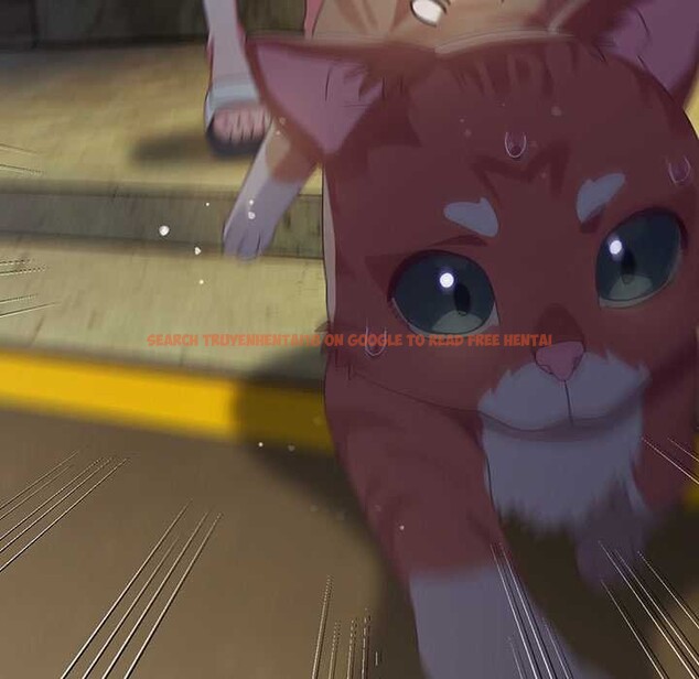 查看漫画與眾不同的兄妹/我家的掌上明珠 - 第22話 - www.tymanga.com中的3987574图片